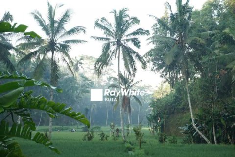 7 bedrooms Villa in Ubud, Indonesia No. 22990 19