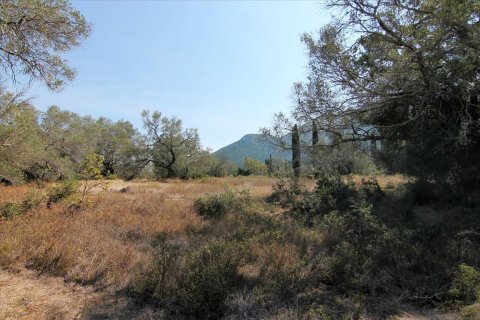 20700m² Land in Corfu, Greece No. 57900 13