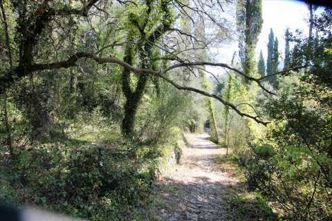 20700m² Land en Corfu, Greece No. 57900 5