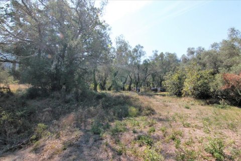 20700m² Land in Corfu, Greece No. 57900 14