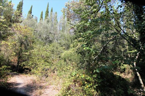 20700m² Land in Corfu, Greece No. 57900 6