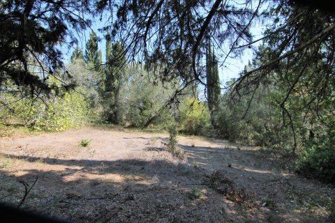 20700m² Land en Corfu, Greece No. 57900 8