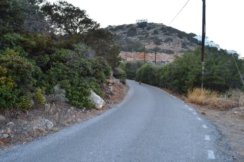 4616m² Land à Agios Nikolaos, Greece No. 57899 4