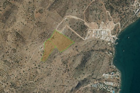 40000m² Land à Agios Nikolaos, Greece No. 57902 9