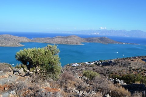 40000m² Land in Agios Nikolaos, Greece No. 57902 4