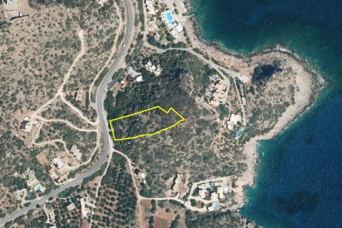 4254m² Land à Agios Nikolaos, Greece No. 57898 3