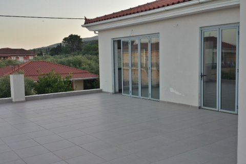 1100m² Business in Zakynthos, Greece No. 58176 9