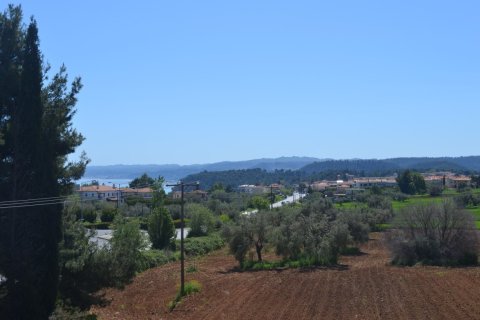 1 habitación Negocio en Chalkidiki, Greece No. 58178 5