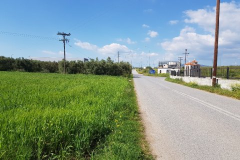 16856m² Land en Chalkidiki, Greece No. 58181 4