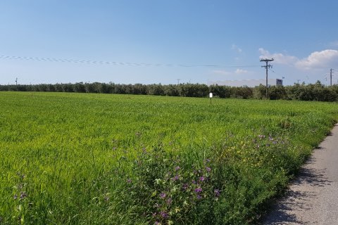 16856m² Land en Chalkidiki, Greece No. 58181 1