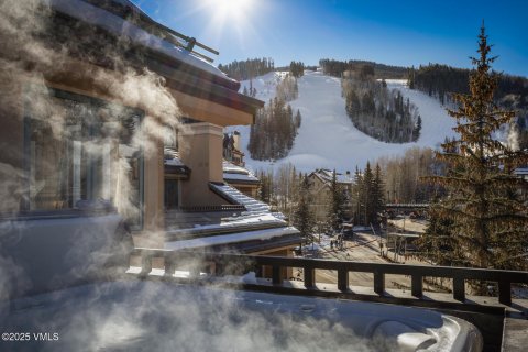 4 bedrooms Condo  in Beaver Creek, USA No. 75944 10