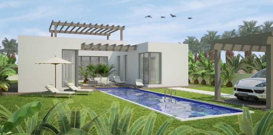 3 bedrooms Villa in Benijofar, Spain No. 25595