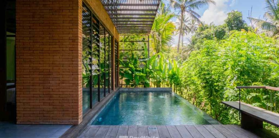 2 bedrooms Villa in Ubud, Indonesia No. 22861