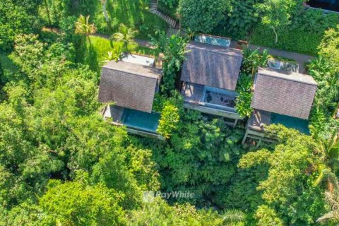 2 chambres Villa à Ubud, Indonesia No. 22861 13