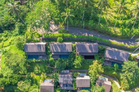 2 chambres Villa à Ubud, Indonesia No. 22861 16