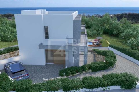 5 dormitorios Villa en Agios Athanasios, Cyprus No. 74827 3