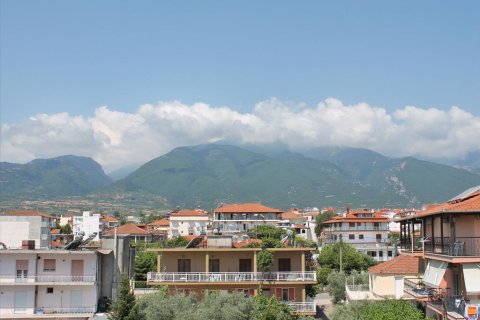 1300m² Hotel à Dion, Greece No. 59105 13