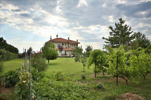 7 chambres Villa à Epanomi, Greece No. 59107 11