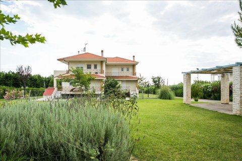 7 dormitorios Villa en Epanomi, Greece No. 59107 16