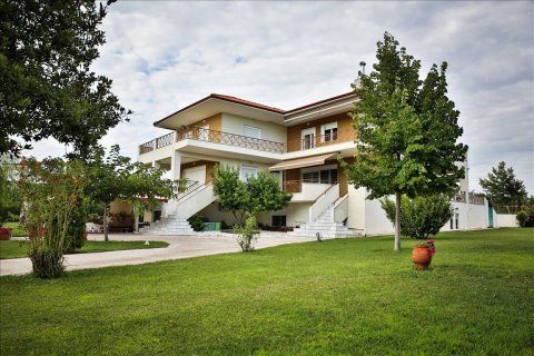 7 chambres Villa à Epanomi, Greece No. 59107 8