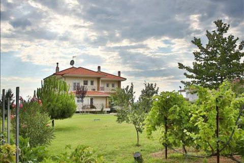 7 bedrooms Villa in Epanomi, Greece No. 59107 12