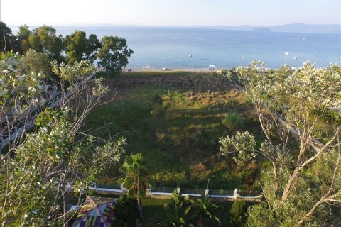 4800m² Land in Chalkidiki, Greece No. 59272 4