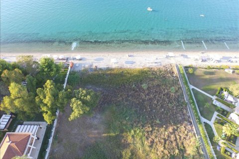 4800m² Land en Chalkidiki, Greece No. 59272 3