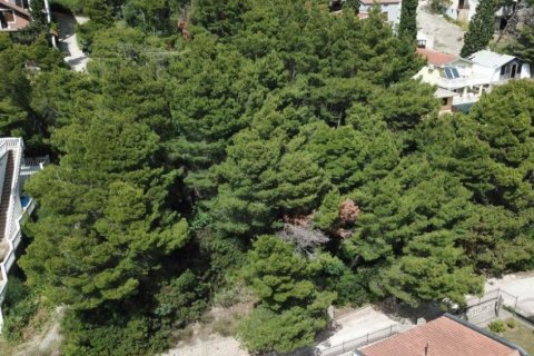 820m² Land in Bar, Montenegro No. 66825 2