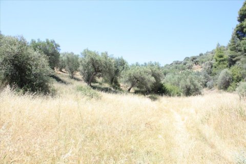 2000m² Land in Chalkidiki, Greece No. 59090 2