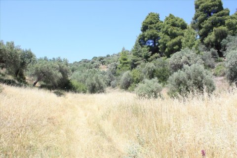 2000m² Land en Chalkidiki, Greece No. 59090 1