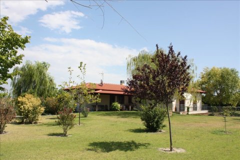 4 dormitorios Villa en Thermaic Gulf, Greece No. 59089 5