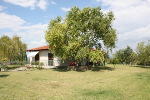 4 chambres Villa à Thermaic Gulf, Greece No. 59089 7