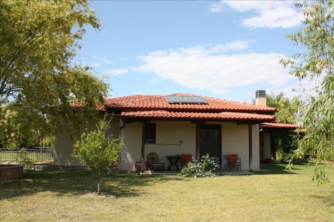 4 dormitorios Villa en Thermaic Gulf, Greece No. 59089 8