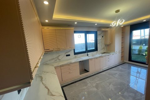 6+2 Villa in Istanbul, Turkey No. 15137 8