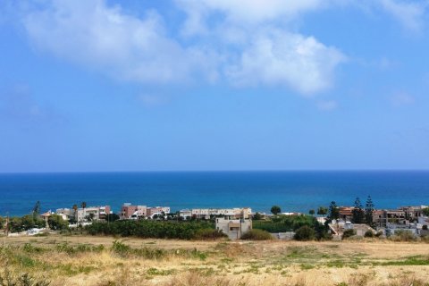 20000m² Land in Rethymno, Greece No. 59125 2