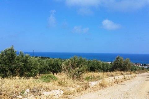 20000m² Land in Rethymno, Greece No. 59125 1