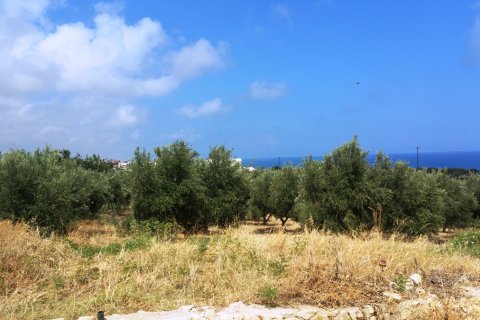 20000m² Land in Rethymno, Greece No. 59125 5