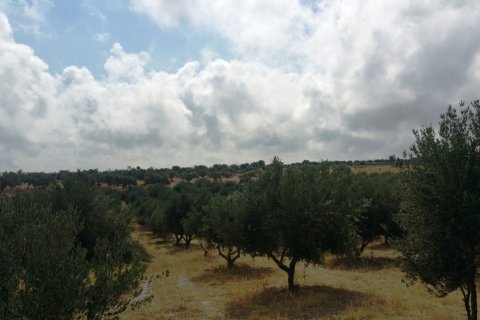 20000m² Land in Rethymno, Greece No. 59125 6