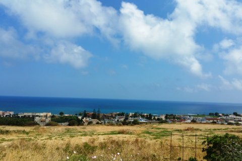 20000m² Land in Rethymno, Greece No. 59125 3