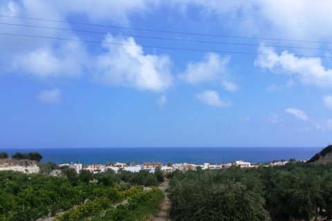 20000m² Land in Rethymno, Greece No. 59125 4