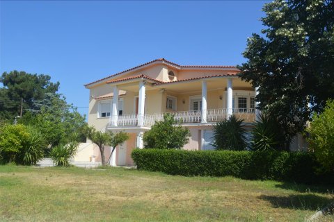 320m² House à Marousi, Greece No. 59122 1