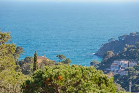 Land in Tossa de Mar, Spain No. 27216 1