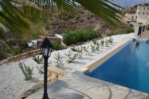 3 bedrooms Villa in Paphos, Cyprus No. 49861 14