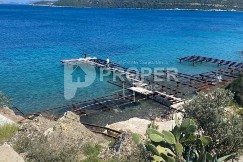 8 rooms Appartement à Bodrum, Turkey No. 11376 29