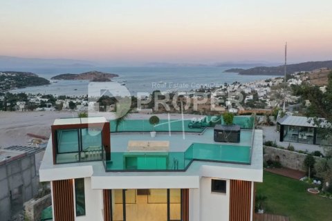 8 habitaciones Apartment en Bodrum, Turkey No. 11376 15