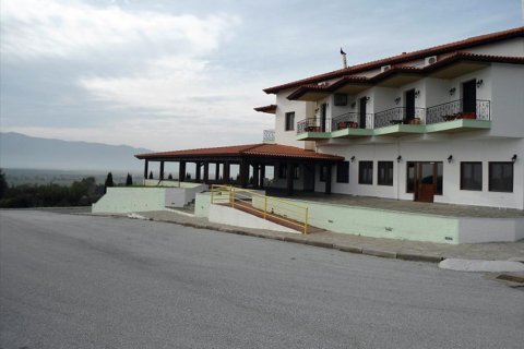 1688m² Hotel à Serres, Greece No. 49147 4