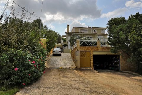 5 chambres Villa à Palaia Fokaia, Greece No. 57846 21