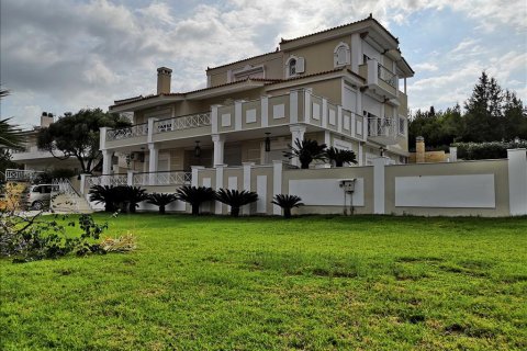 5 chambres Villa à Palaia Fokaia, Greece No. 57846 1