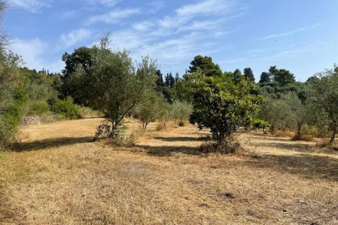 27750m² Land en Corfu, Greece No. 57842 7