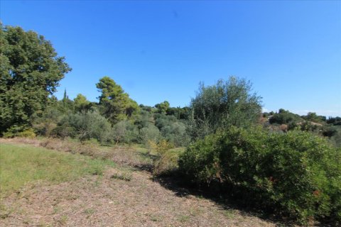 27750m² Land à Corfu, Greece No. 57842 23